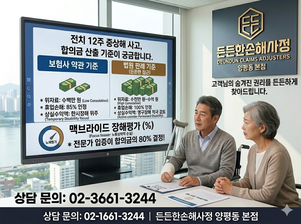 진치12주.jpg